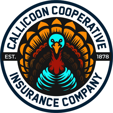 logo-transparent-372